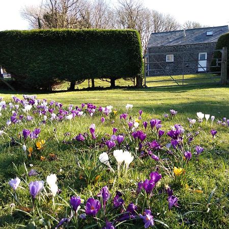 Ty R Pwmp Villa Haverfordwest Bagian luar foto